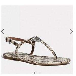 Coach Jasmine sandals